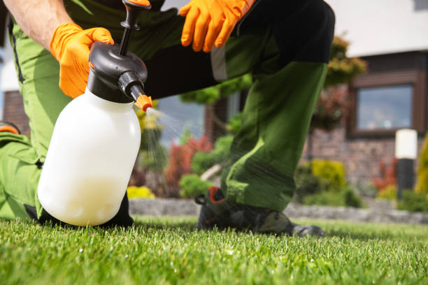 Best Best Pest Control Companies  in Le Claire, IA