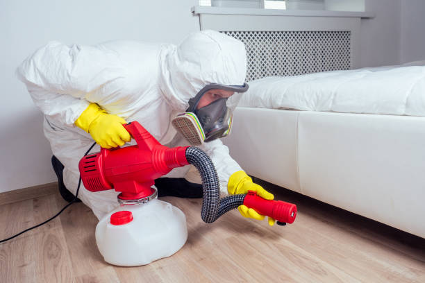 Best Flea Control Services  in Le Claire, IA