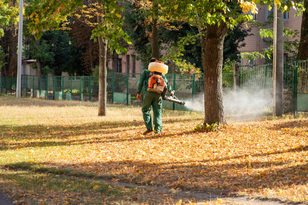 Best Residential Pest Control  in Le Claire, IA