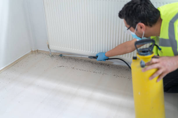 Best Wasp Removal Services  in Le Claire, IA